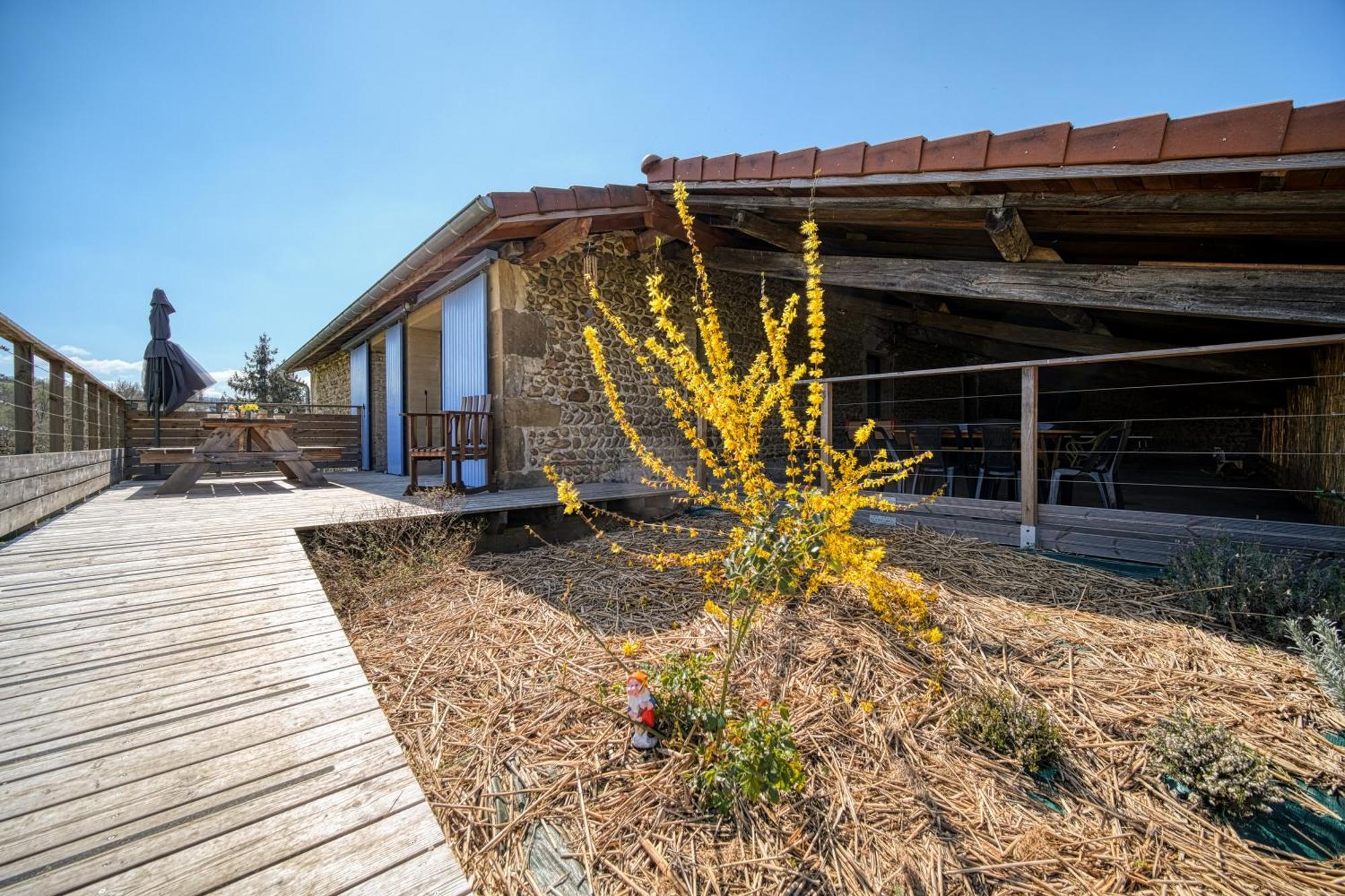 Maison Michonieres - Gite 3 Etoiles - 8 Personnes Miribel  Exterior foto